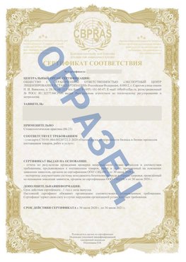 Образец Сертификат СТО 01.064.00220722.2-2020 Ишим Сертификат СТО 01.064.00220722.2-2020 